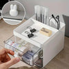 Desktop Double-layer Plastic Storage Holder Rack