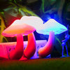 Mushroom Shape Led Night Light